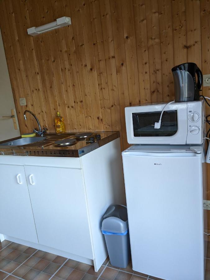 Au Petit Chalet D'Illiers Combray - Salle D'Eau Uniquement Экстерьер фото